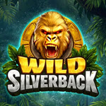Wild Silverback