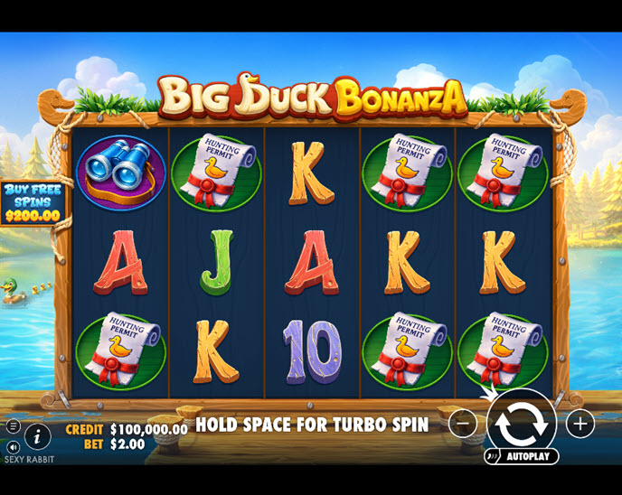 Big Duck Bonanza