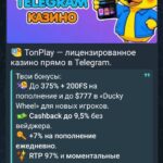 Невялікі заносік у Tonplay
