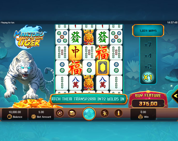 Mahjong of the White Tiger