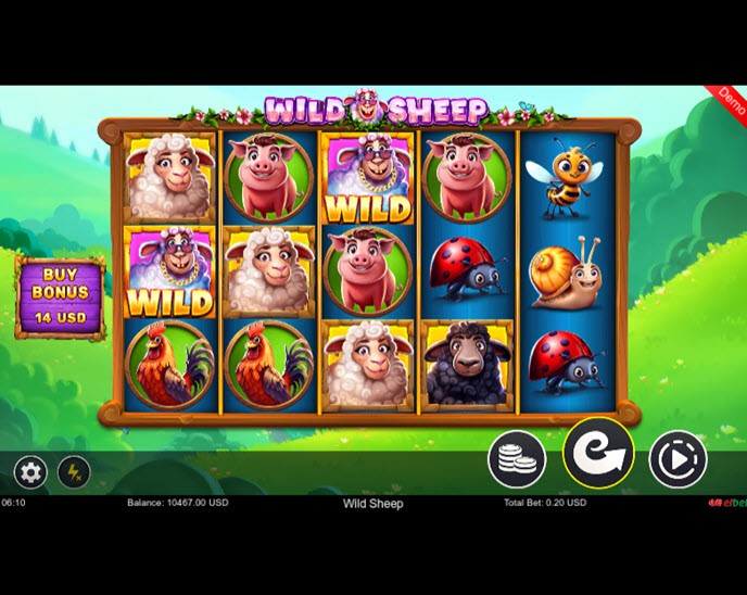Wild Sheep