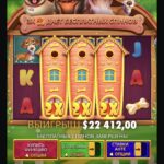 Big dog house, новыя сабакі, падманлівая гульня