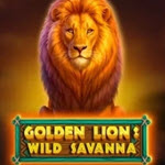Golden Lion Wild Savanna