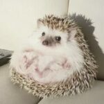 Фота профілю