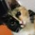 Darina43
