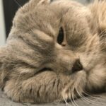 user_491838